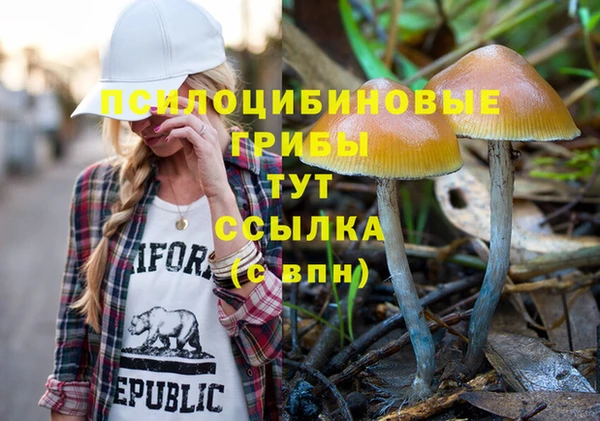 синтетический гашиш Алексин
