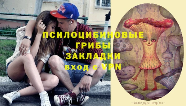 синтетический гашиш Алексин