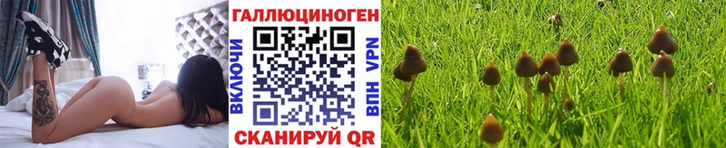 где можно купить наркотик  Снежногорск  MEGA как зайти  Псилоцибиновые грибы MAGIC MUSHROOMS 