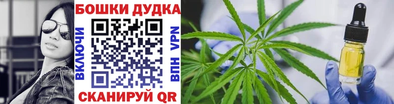 где продают наркотики  Снежногорск  Каннабис семена 